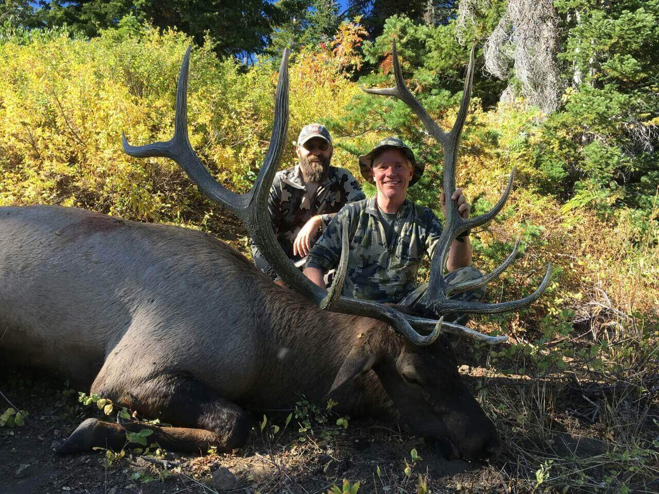 Utah Elk Hunting Outfitter