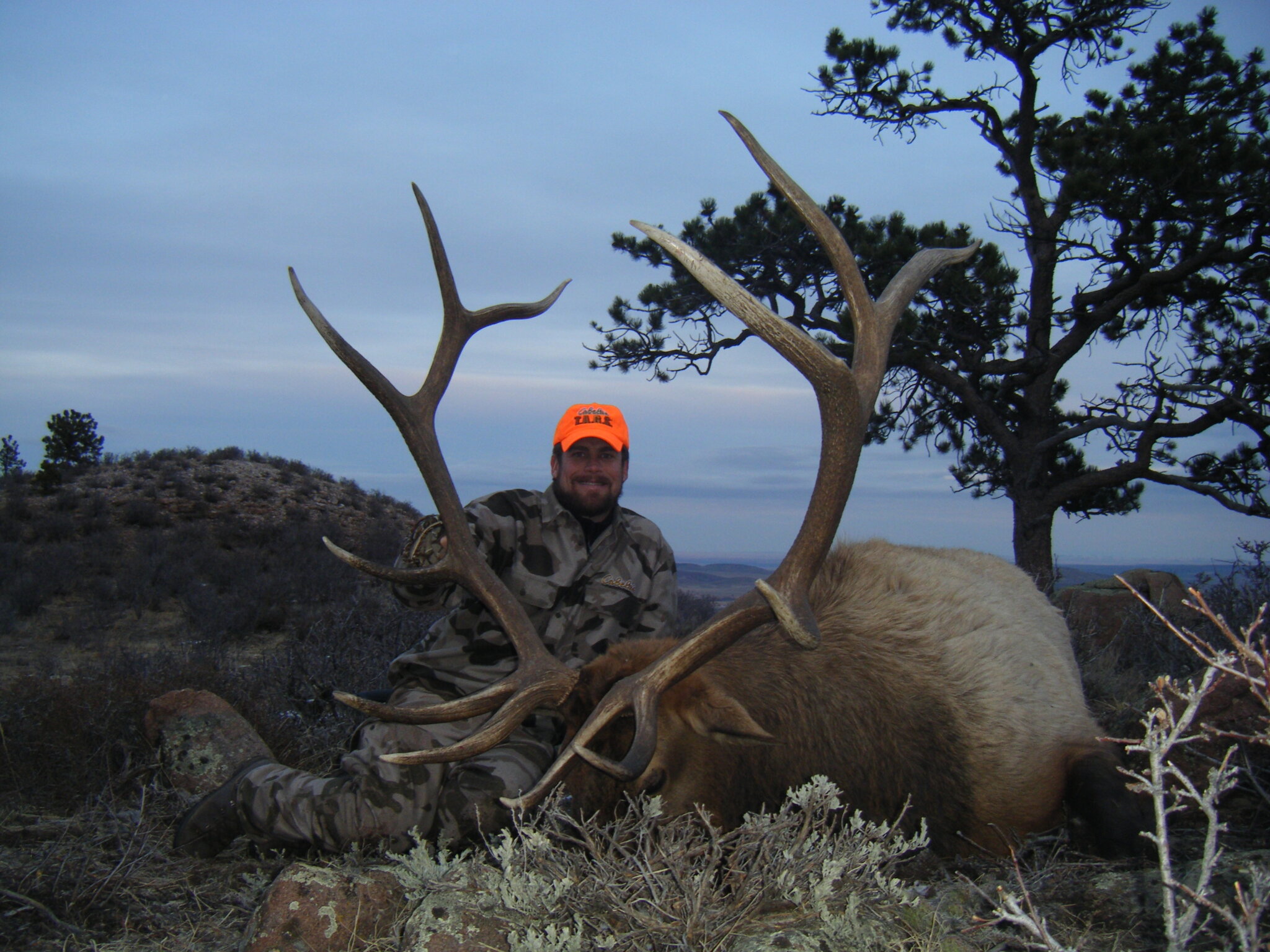 Consultant's Corner Wyoming Elk Tags Worldwide Trophy Adventures