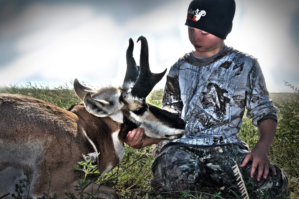 Antelope Tags