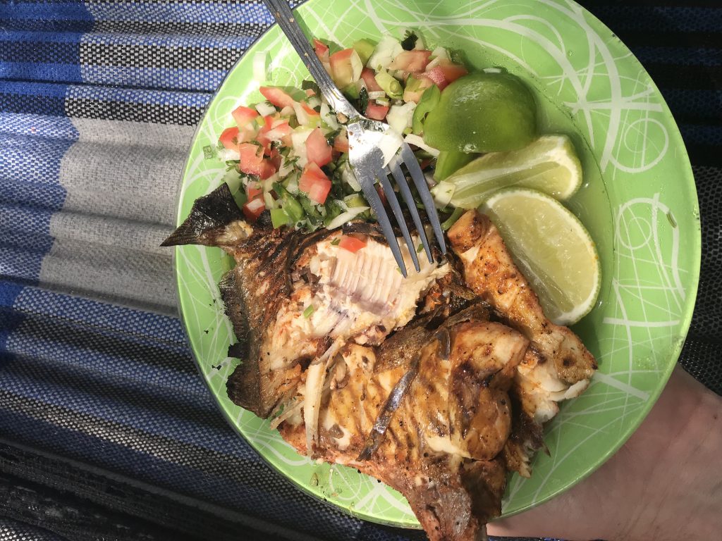 Shore lunch of piranha and peacock bass