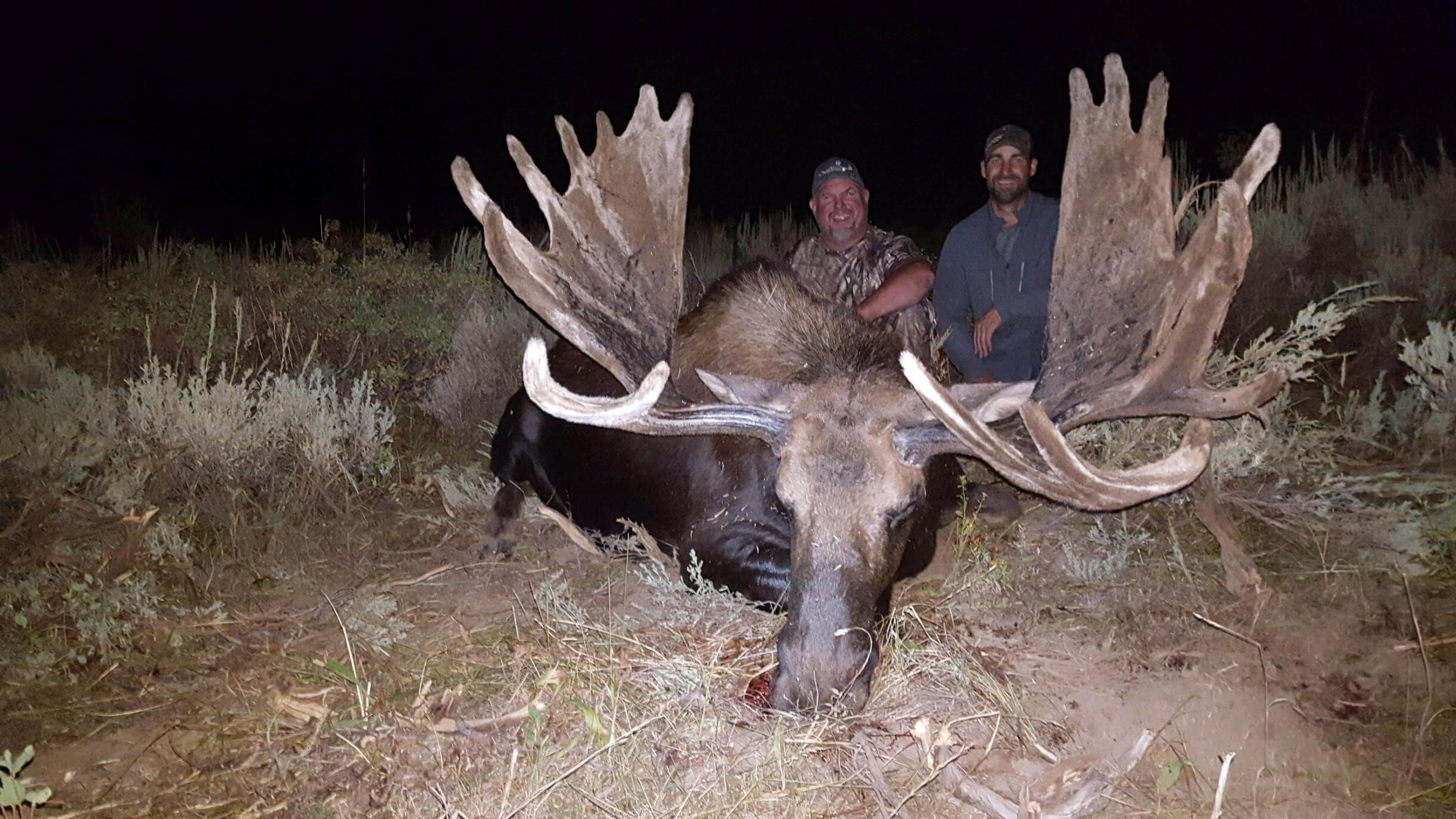 Idaho Moose - The Most Overlooked Draw in the West - Worldwide Trophy