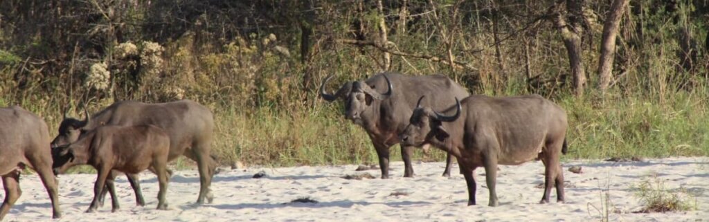 11fde08f-e9a4-4c34-bb26-0b64de1f69c8-2