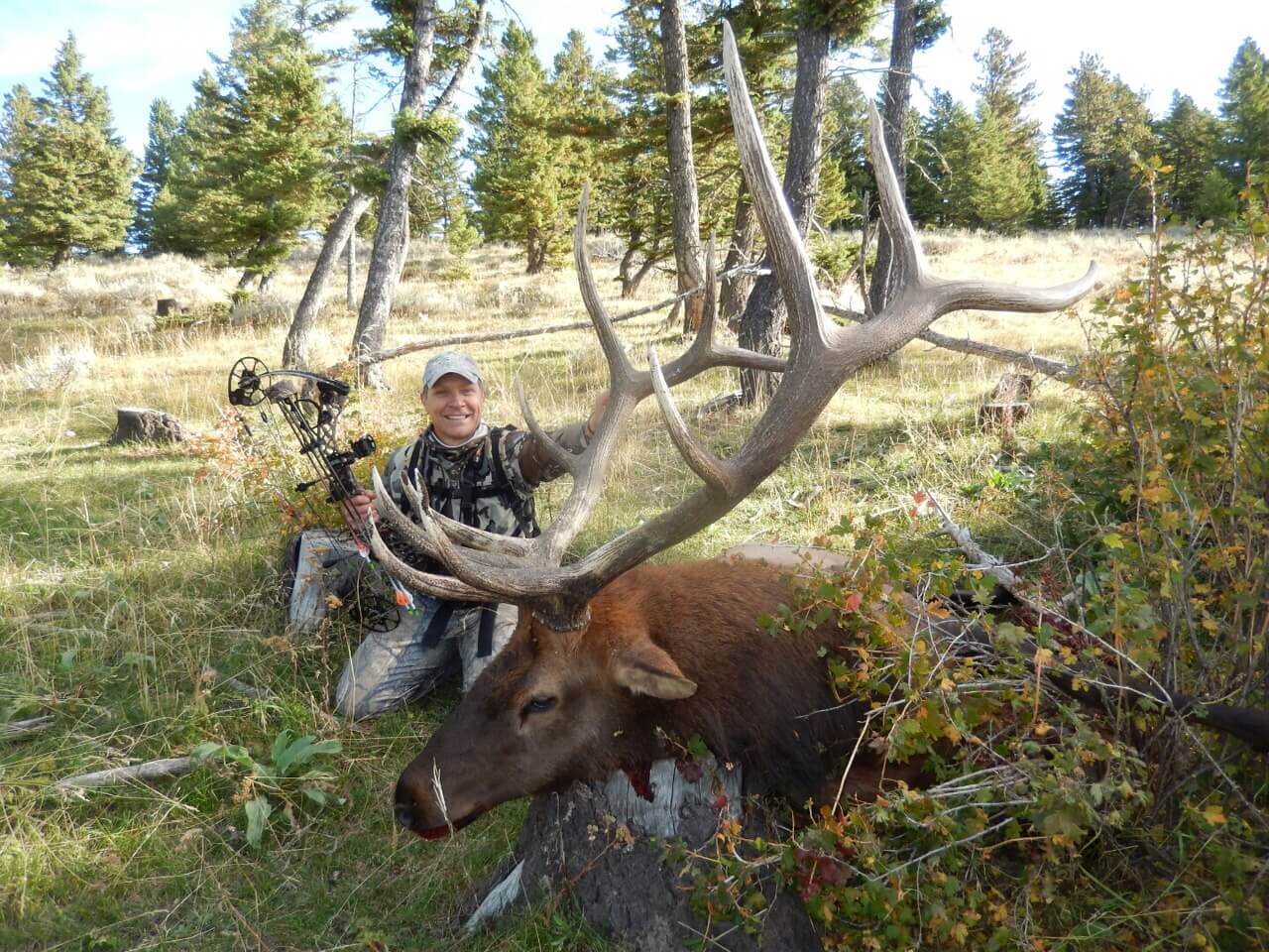 Montana Trophy Elk Opportunity without the Wait! Worldwide Trophy