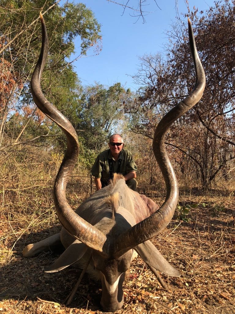 Trophy Kudu