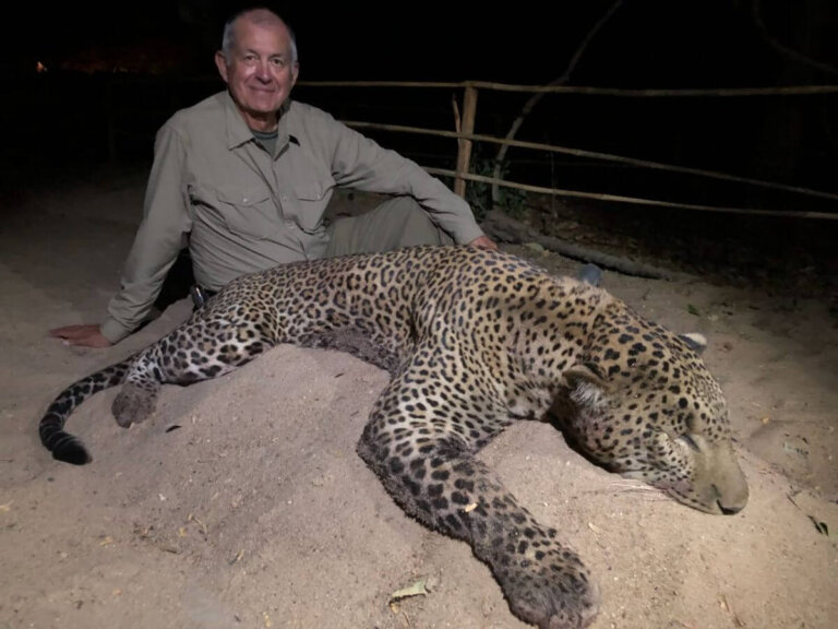 Leopard Hunting in Zambia Worldwide Trophy Adventures