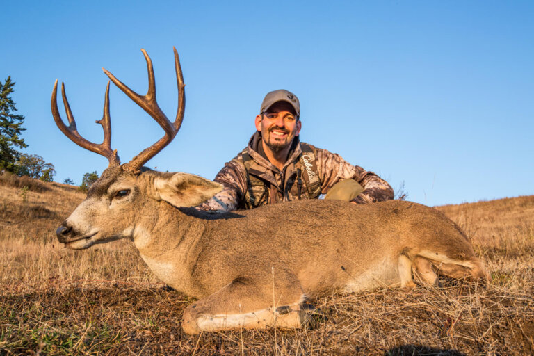 Oregon Blacktail Deer Worldwide Trophy Adventures
