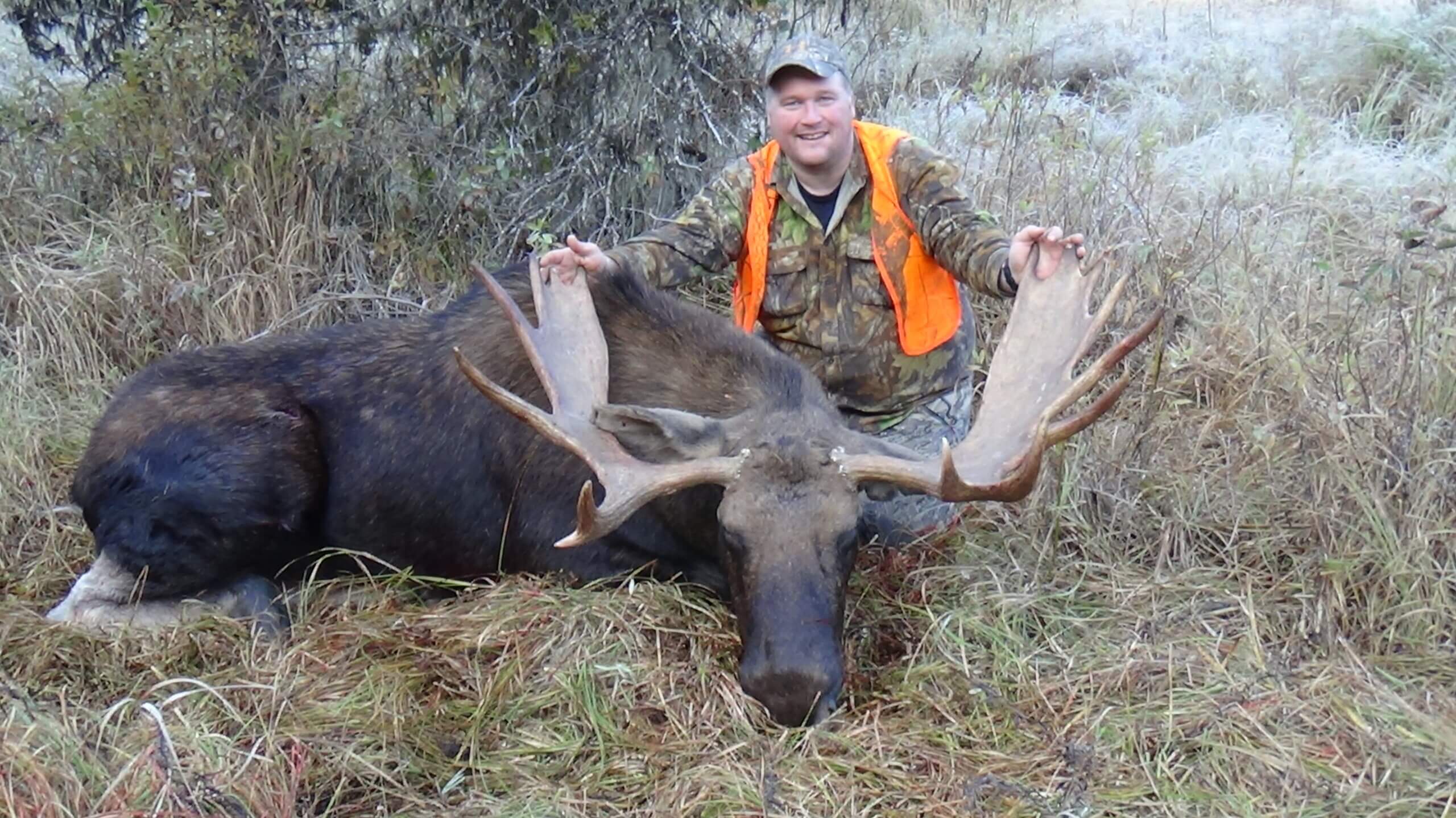 Idaho Moose The Most Overlooked Draw in the West Worldwide Trophy
