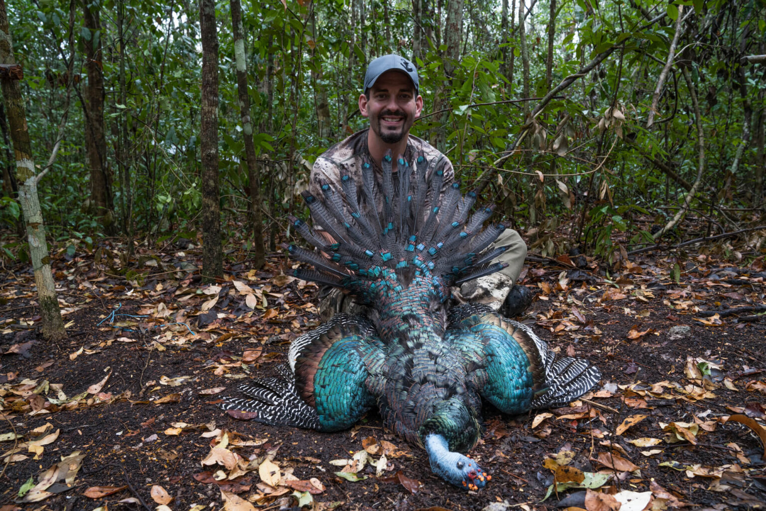 World Turkey Slam Hunting Ocellated in the jungles of the Yucatan Peninsula Worldwide Trophy