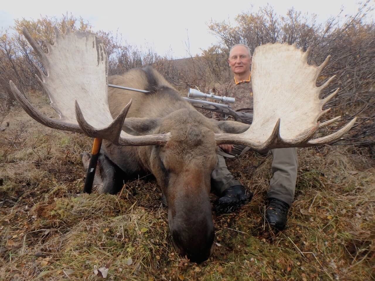 Moose Hunting with WTA - 2019 Season Recap and 2020 Opportunities ...