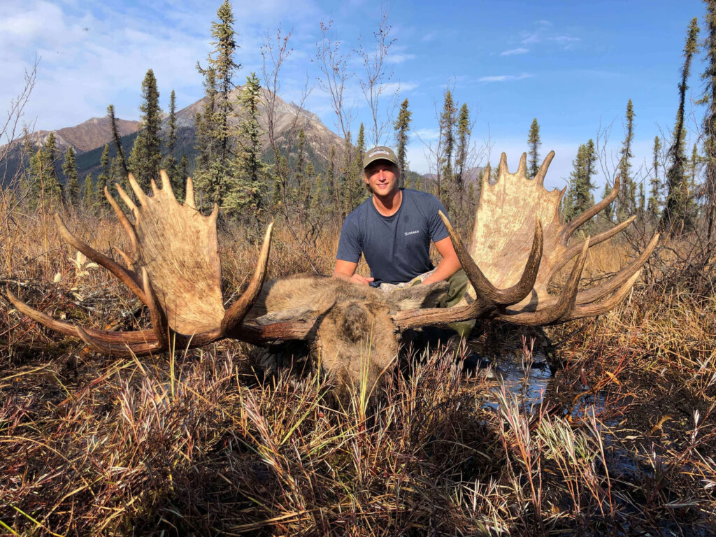 Brooks Range Moose and Grizzly Bear Hunting Guide