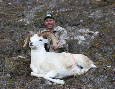 wta_1006_Henry Tiffany Dall Sheep Hunter J.D.