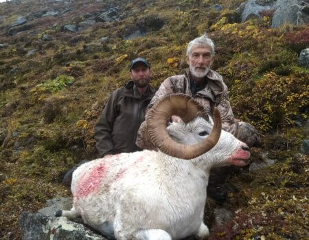 wta_1006_Henry Tiffany Dall Sheep Hunter JD