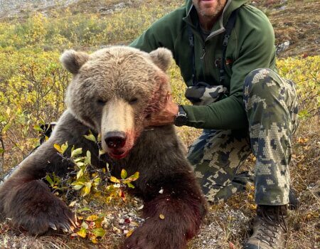 wta_1006_K.R. Arctic Girzzly with Alaskan Perimeter Expeditions