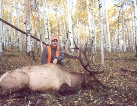 wta_1020_GB65TI_dennisschmidt2012