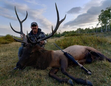 wta_1020_TWO BEAR BULL #1 - '24