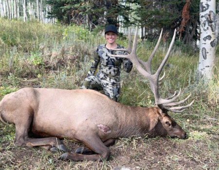 wta_1020_TWO BEAR BULL #2 - '24