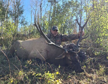 wta_1020_TWO BEAR BULL #6 - 24