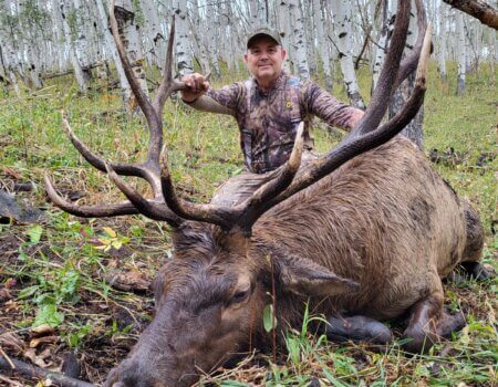 wta_1020_TWO BEAR BULL #8 - '24