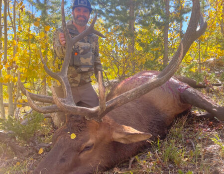 wta_1020_TWO BEAR BULL #9 - '24