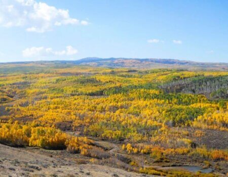 wta_1020_X75JJJ_Country