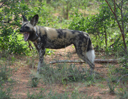 wta_1021_4D8PN8_DSC_0523