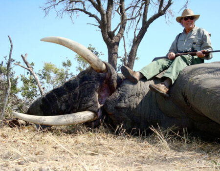 wta_1023_5CELW2_Elephant-7