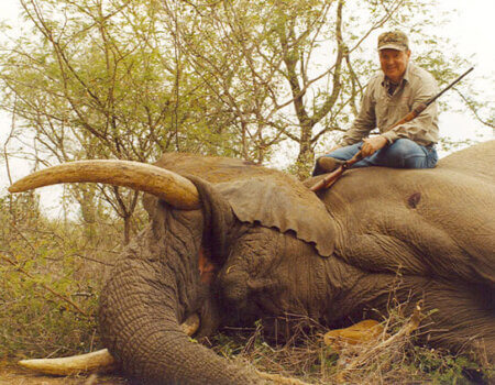 wta_1023_EWY1SD_Elephant-5