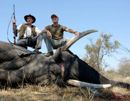 wta_1023_PB15BB_Elephant-2