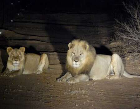 wta_1023_QVBXQX_P1010498