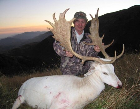 wta_1027_9YLVMX_WhiteFallowBuck