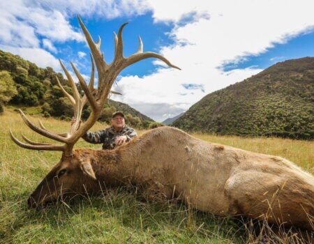 wta_1027_LMQELE_randymoonelk