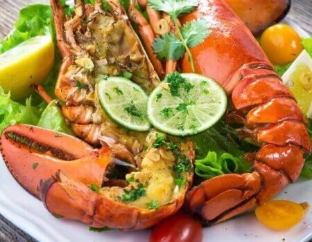 wta_1027_WZ93OB_lodge4