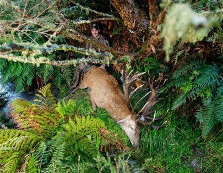 wta_1028_HPVXMD_HF1A1716