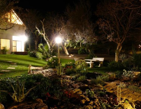 wta_1029_38NG0S_P1050236(Large)