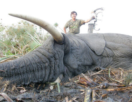 wta_1033_QQNX22_Moz2(ArchieNesbitt)