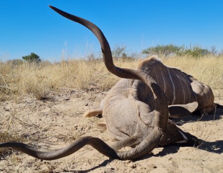 wta_1042_20230614_112844_Original