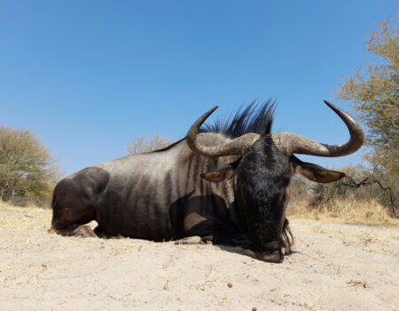 wta_1042_D2FBF553-D86A-42F2-9AEE-A2C73E544521