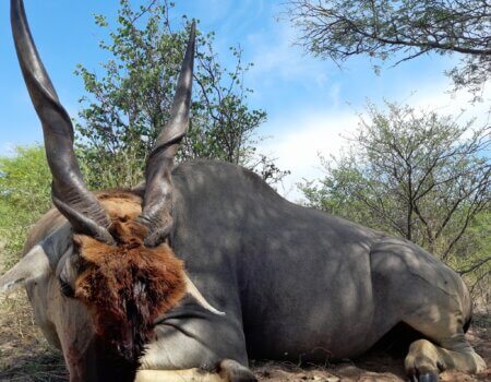 wta_1042_IMG_20230117_174341_955_Original