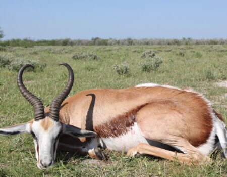 wta_1042_IMG_7361_Original