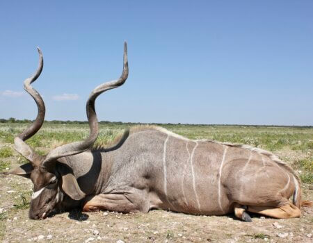 wta_1042_IMG_7543_Original