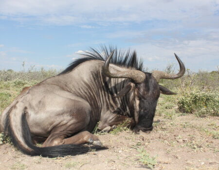 wta_1042_IMG_7552_Original