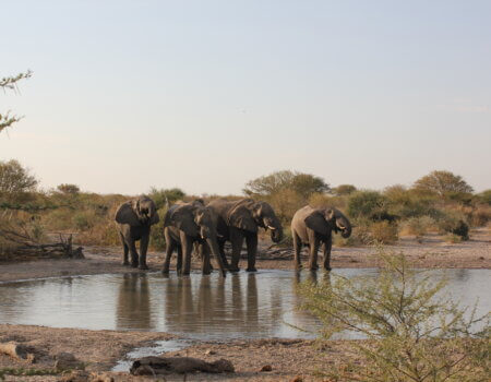 wta_1042_IMG_7696_Original