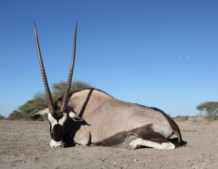 wta_1042_IMG_7823_Original