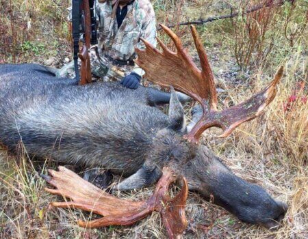 wta_1045_ZRVCE9_IMG_3108