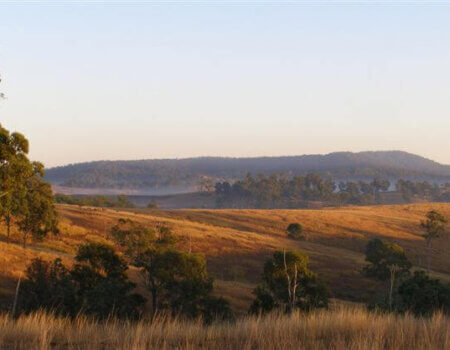 wta_1047_J1Z92Z_kinghammorninglandscape