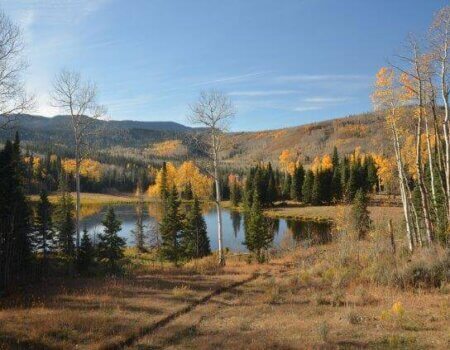 wta_1048_9PFW1T_DSC_0052