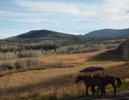 wta_1048_HHC6NE_DSC_0081