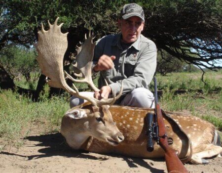 wta_1049_SYEFEL_FALLOWDEER