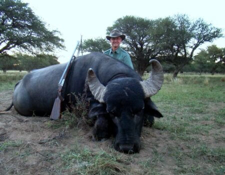 wta_1051_AI246Y_Bufalooro