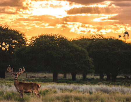 wta_1051_DSC02204 (1)